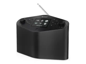 Sharp DR-IP640(BK) Radio and Clock Radio with Built-in Rechargeable Battery and 24-Month Warranty